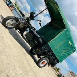 Triciclos Nipon 2026🛺🔥