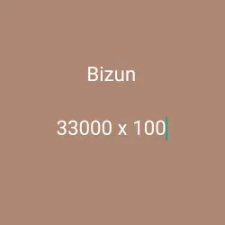 Bizun