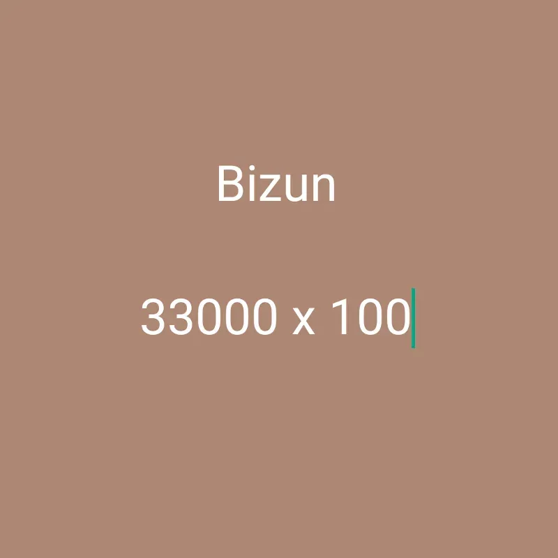Bizun