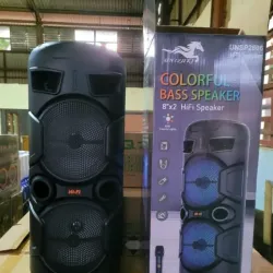 Equipo de Música Recargable ( Grande)