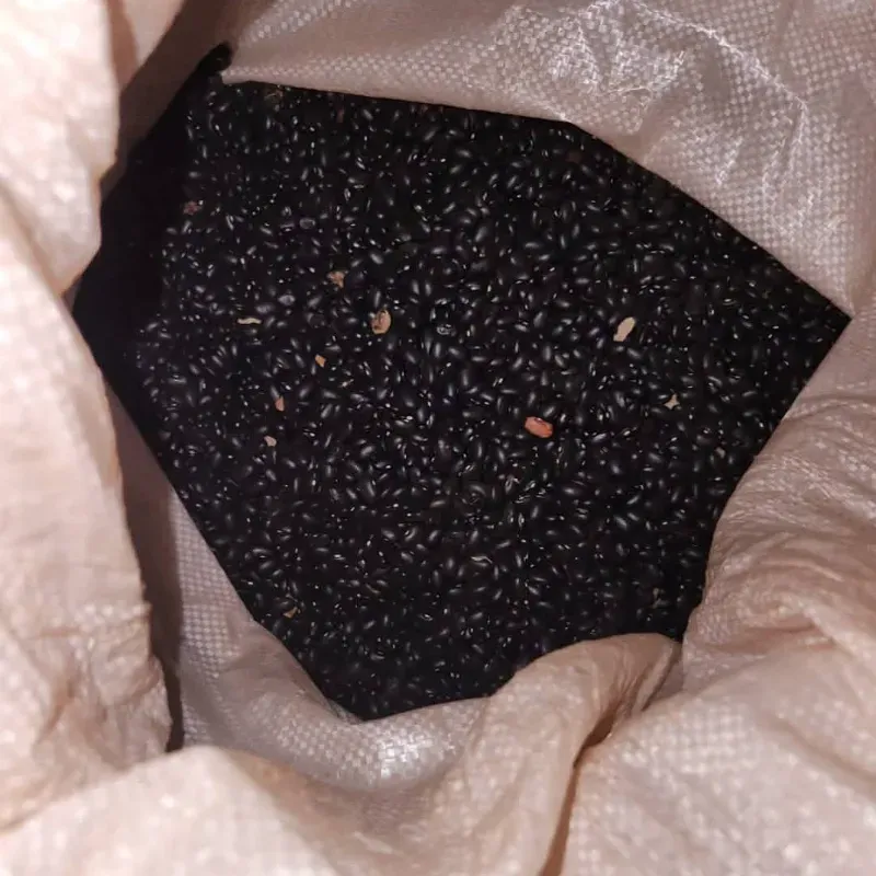 Frijoles negros