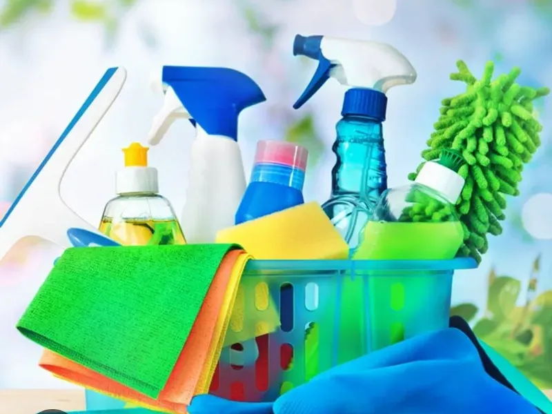 Productos para el aseo del Hogar