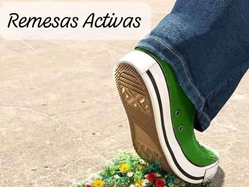 Remesas familiares