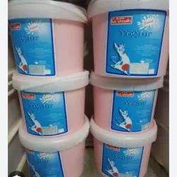 Tanquetas de yogur 4Litros