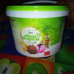 Tina de Helado 3L