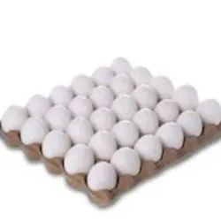 Carton de huevos 