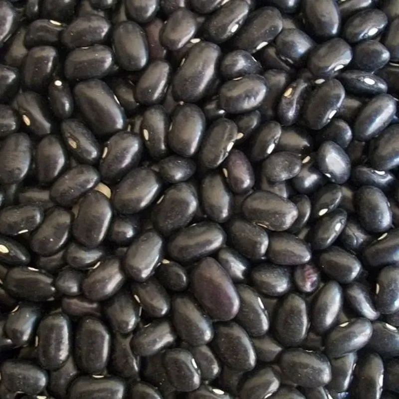 Frijoles negros