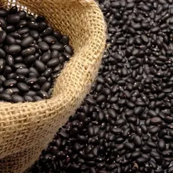 Frijol Negro