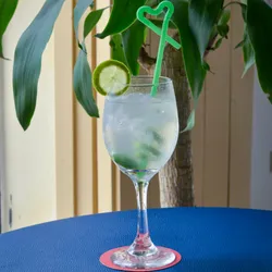 Gin Tonic