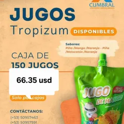CAJA DE JUGOS DE FRUTAS (contiene 150 jugos) DE 330 ML