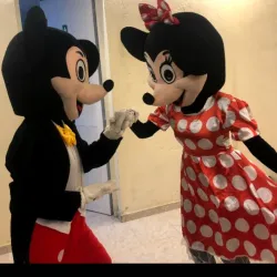 Mickey y Minnie mouse