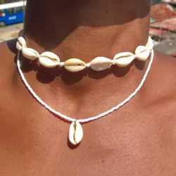 Conjunto Caracol 