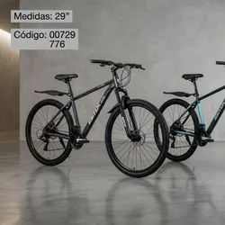 Bicicleta Montañeza 29