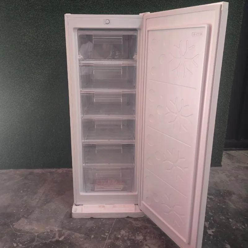 Congelador Vertical 177 L Premier