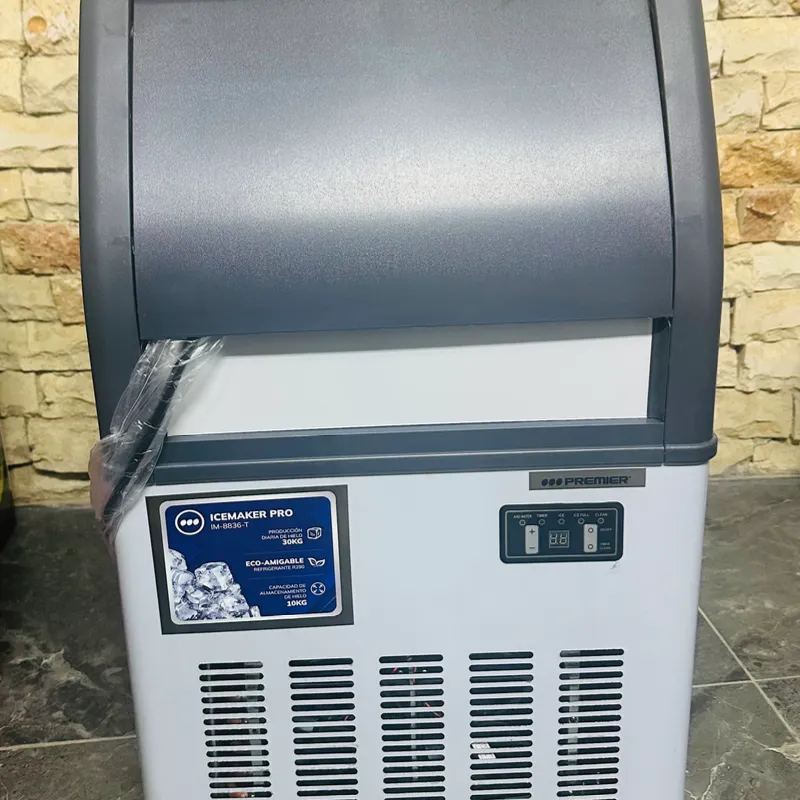 Máquina de Hielo de 30 kg 