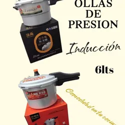 Olla de presión de 6lt 