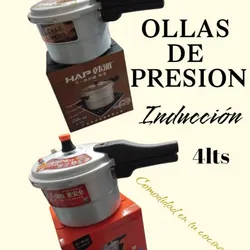 Olla Presión de 4lt 