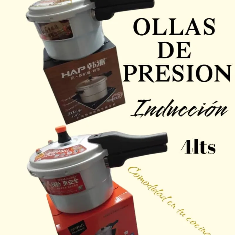 Olla Presión de 4lt 