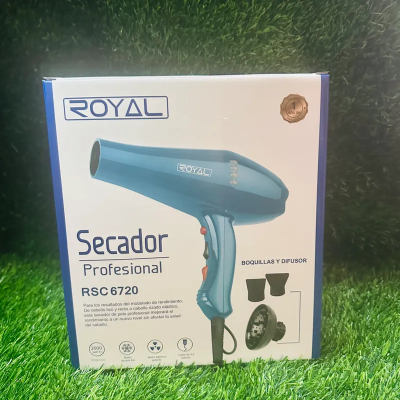 Secador Profecional Royal 