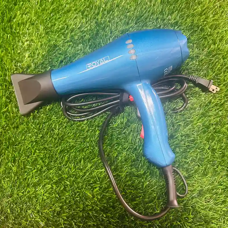 Secador Profecional Royal 