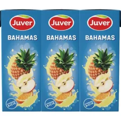 Jugo de Cóctel de Frutas 200ml (6u)