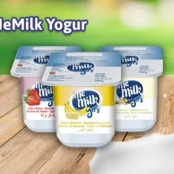 Yogurt 120g (4u)
