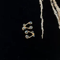 Anillo Ani