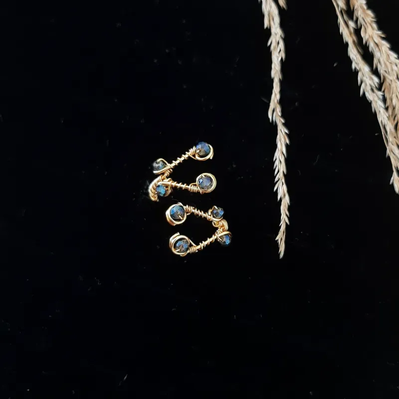 Anillo Ani