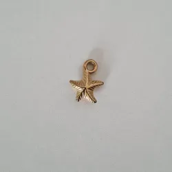 Estrella de Mar Charm