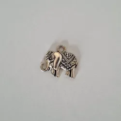 Sabiduría Charm