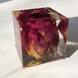 Encapsulado en Cubo