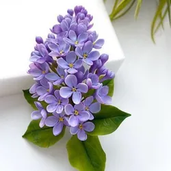 Lilas 3D
