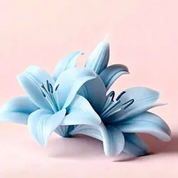 Lirio 3D