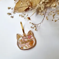 Placa de Gatito