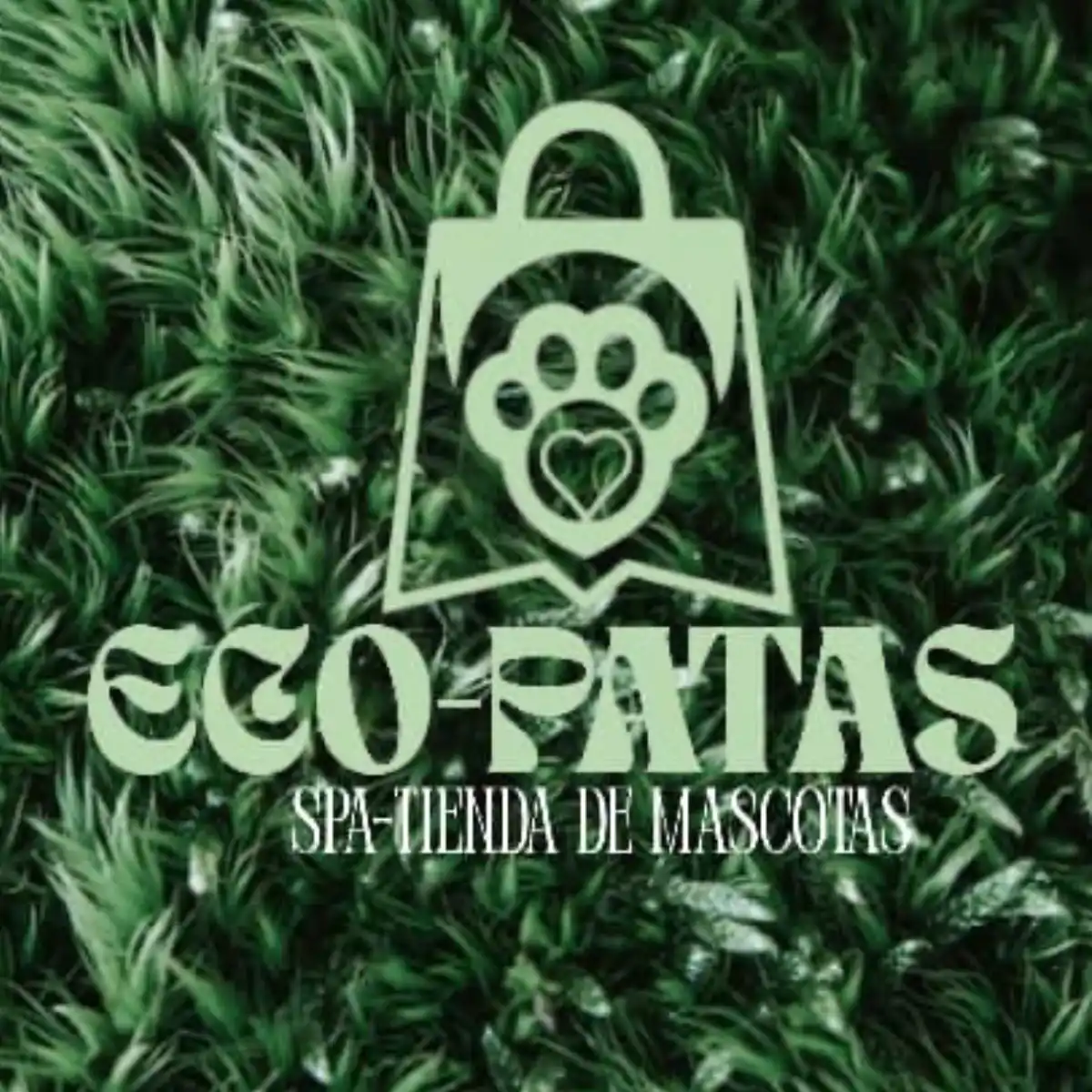 Eco Patas
