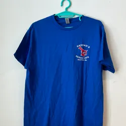 Pulover azul 