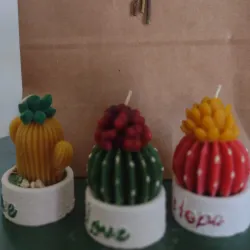 Velas cactus