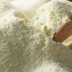 Leche en polvo
