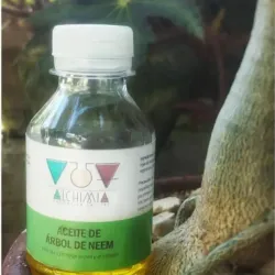 Aceite de Árbol de Neem 60 ml