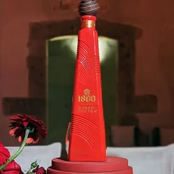 1800 GUACHIMONTON
