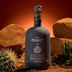 DON RAMÓN MEZCAL JOVEN