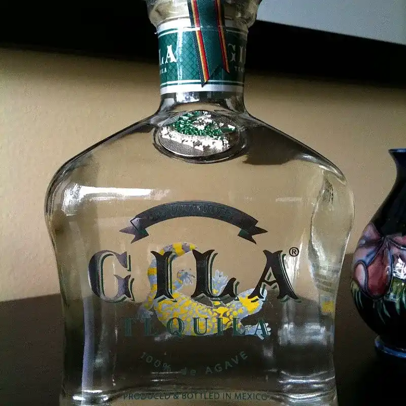 GILA SILVER