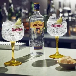 GIN GORDON'S + AGUAS TÓNICAS