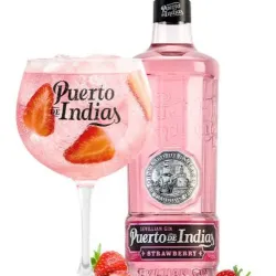 BOTELLÓN GINEBRA PUERTO DE INDIAS 1.75 LITROS + AGUAS TÓNICAS