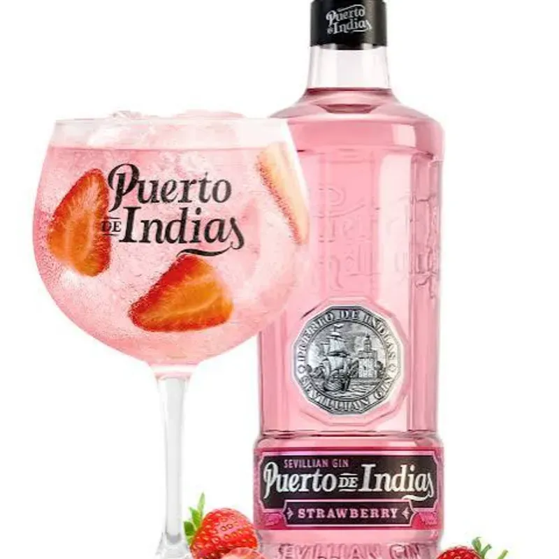 BOTELLÓN GINEBRA PUERTO DE INDIAS 1.75 LITROS + AGUAS TÓNICAS