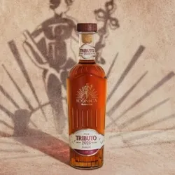 RON HAVANA CLUB ICÓNICA TRIBUTO 2025 + ENERGIZANTES
