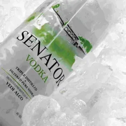 VODKA SENATOR + JUGO DE NARANJA 1L