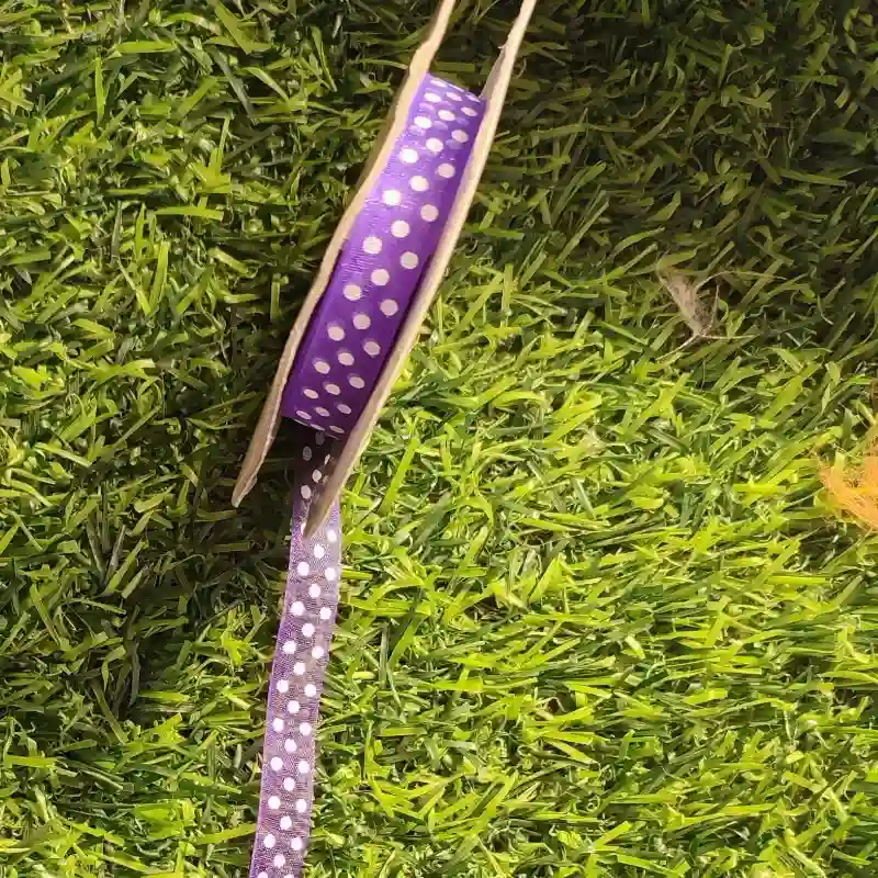Cinta organza óvalos 