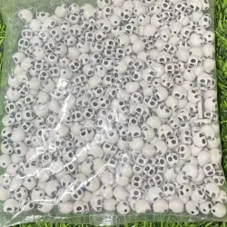 Cuencas carabela 