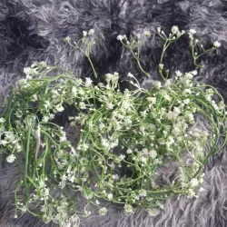 Follaje para ramos flores eternas